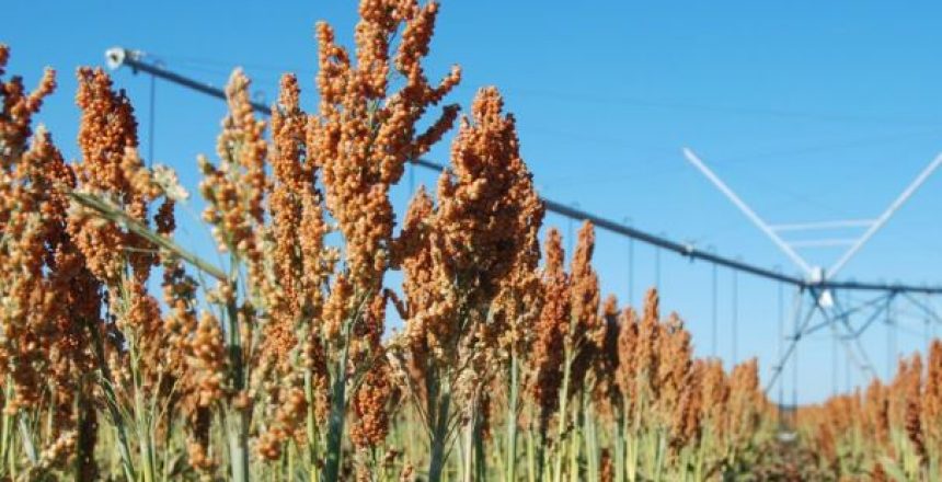 farm-insure